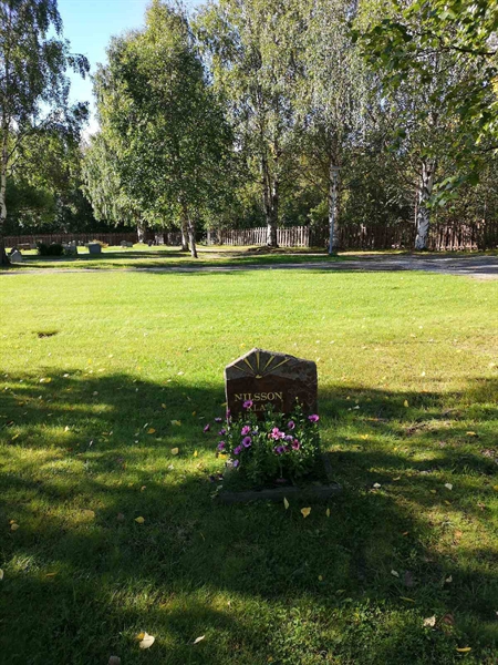 Hautatunnus: NK 18    50