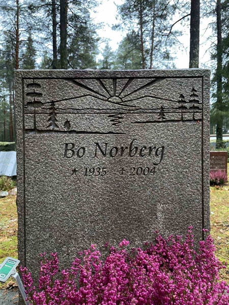 Grave number: 3 6    10