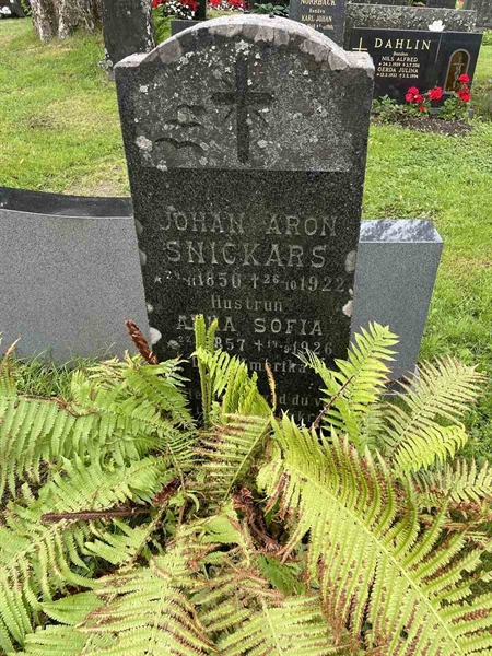 Gravnummer: N 4 3   332