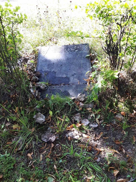 Gravnummer: GK F 4   349