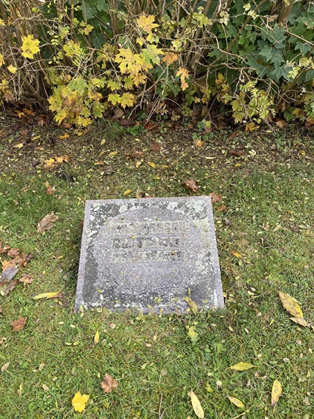 Hautatunnus: SR II    51