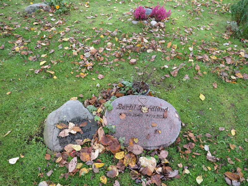 Grave number: 1 11   55