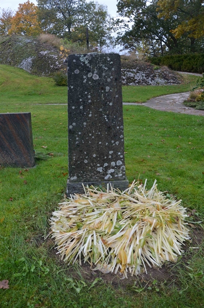 Grave number: Sm 2    60