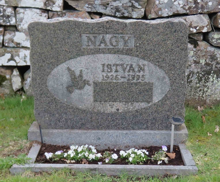 Grave number: 01 V   113