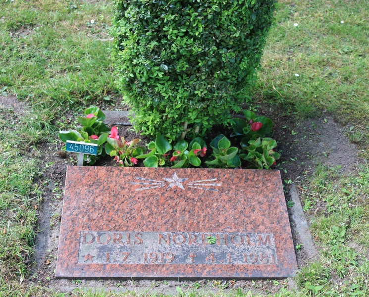 Grave number: Ö 45    96