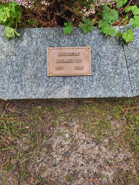 Grave number: H AG   241-242