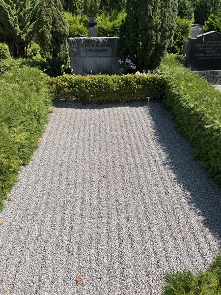 Grave number: NK VII    43