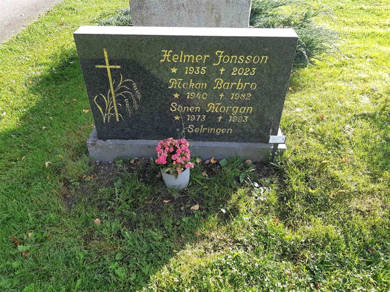 Gravnummer: Fr 8   411-412