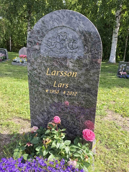 Grave number: 001 4  3699