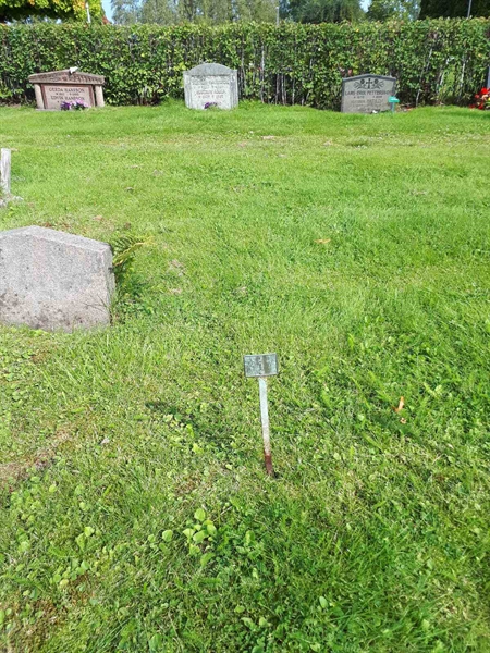 Gravnummer: NK A A   317