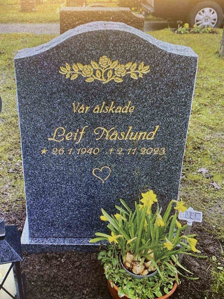 Gravnummer: 1 H   354