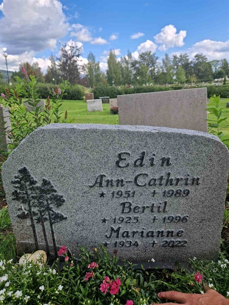 Grave number: 451 13 201-203