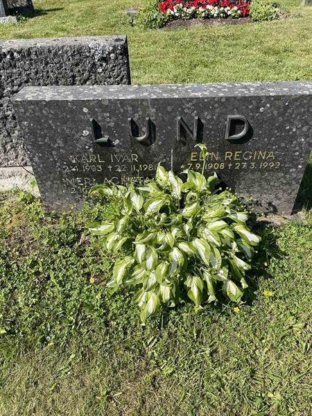 Gravnummer: N 5 1    48