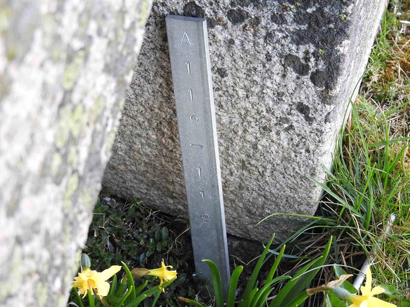 Gravnummer: BK A   118-119