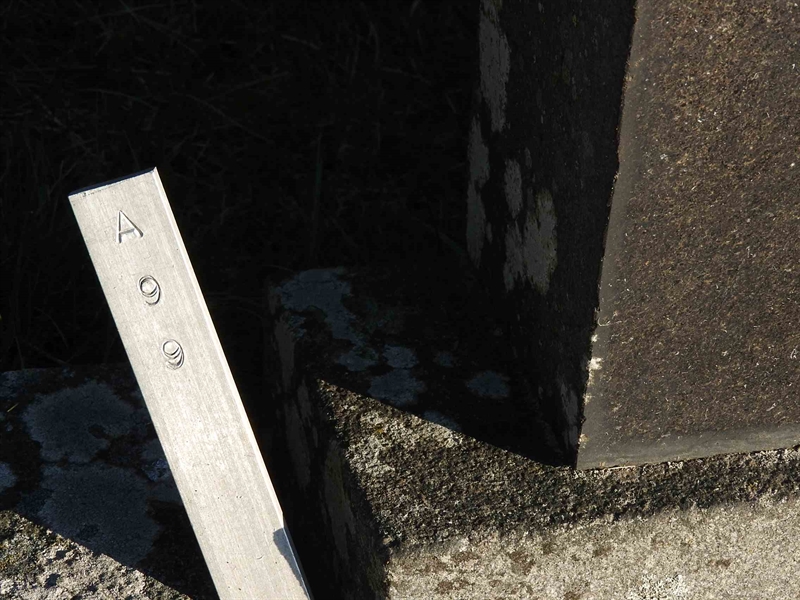 Gravnummer: BK A    99