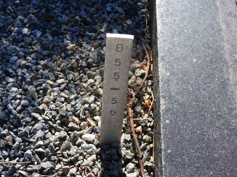 Hautatunnus: BK B    55-56