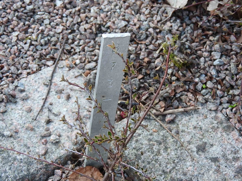 Gravnummer: BK B    73-74