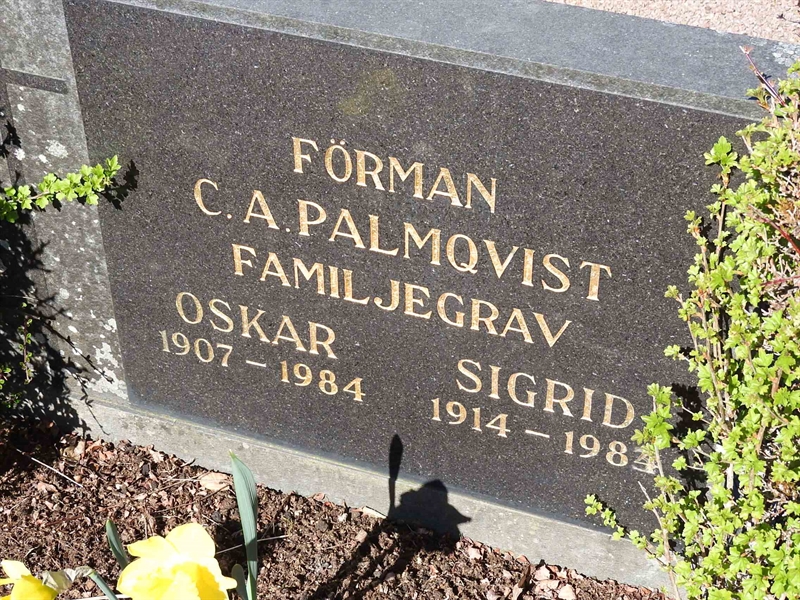 Hautatunnus: BK B    84-85