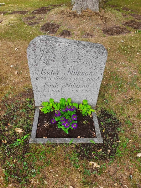 Grave number: M3 C   415