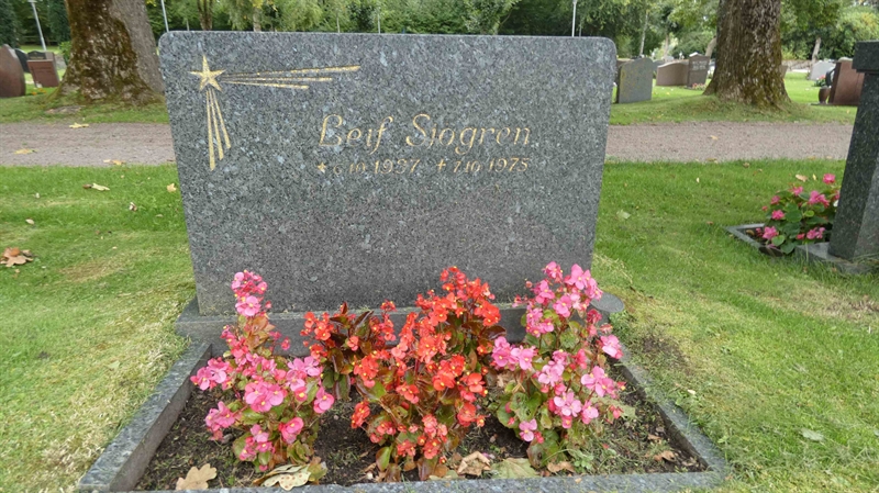 Grave number: SN D   281