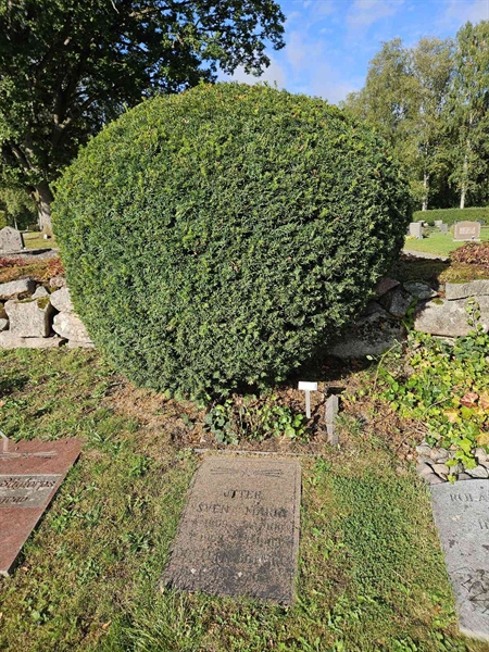 Hautatunnus: Fr 5   867