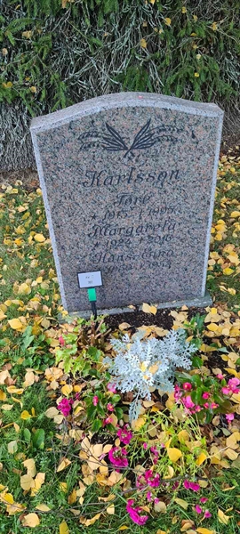 Grave number: M C  165