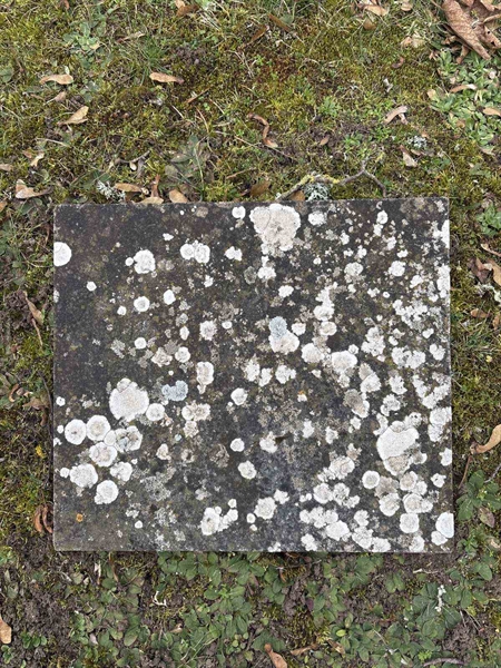 Grave number: LE 414b