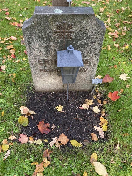 Hautatunnus: 1 H   217