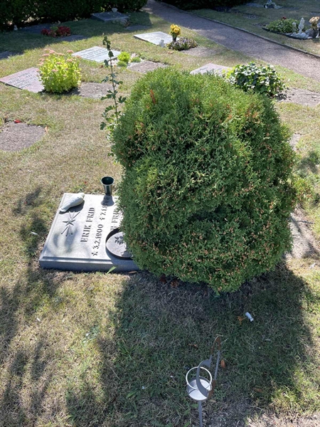 Grave number: NK I:u   354