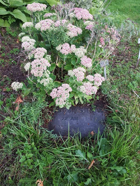 Gravnummer: NK A A   169