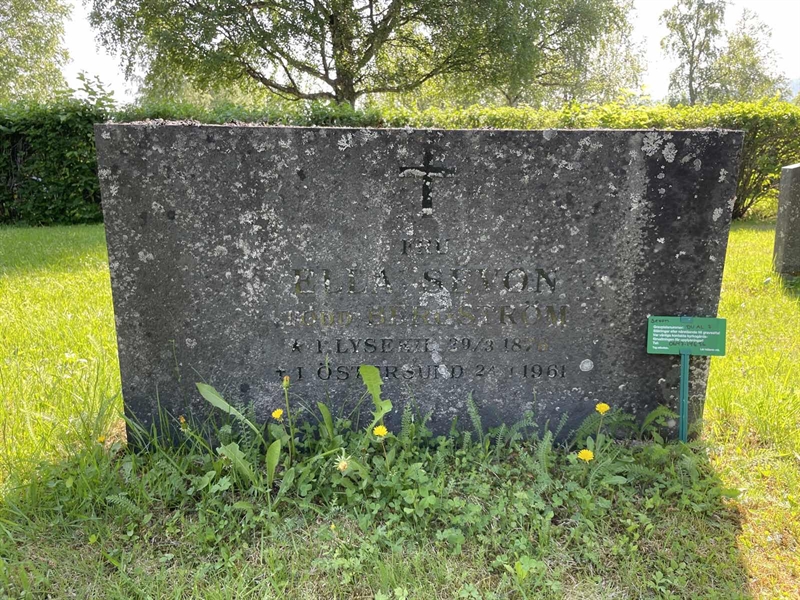 Grave number: DU AL     7