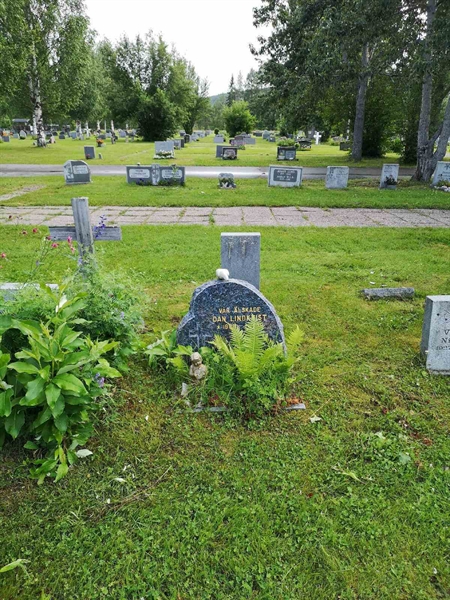 Hautatunnus: NK 13    29