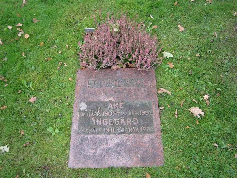 Grave number: 1 09 C    42