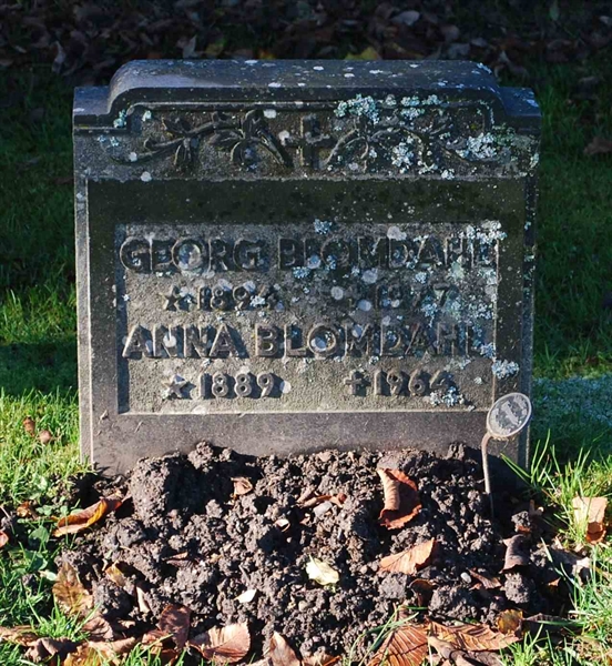 Grave number: 3 GA I   250