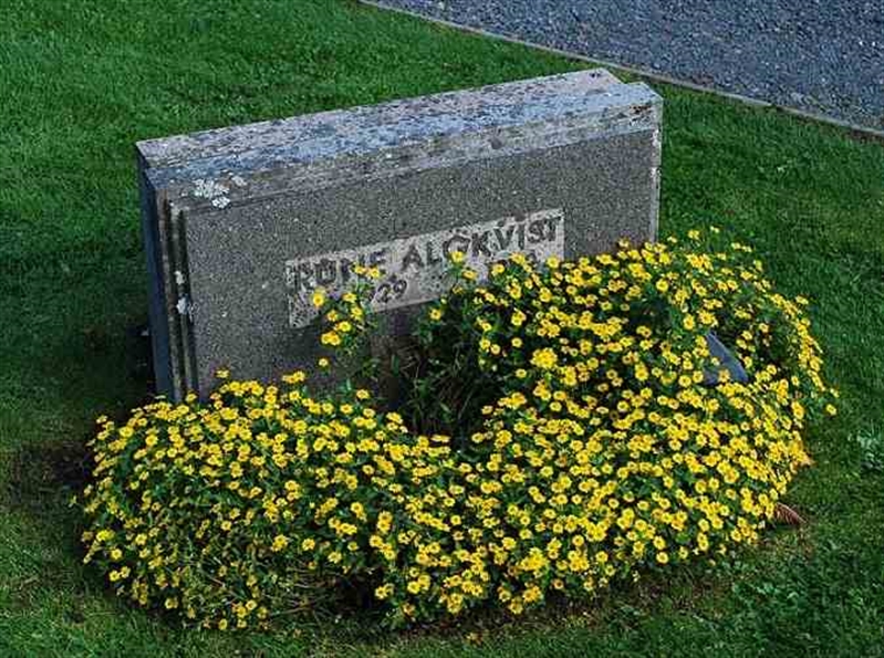 Grave number: 3 GA Y   551
