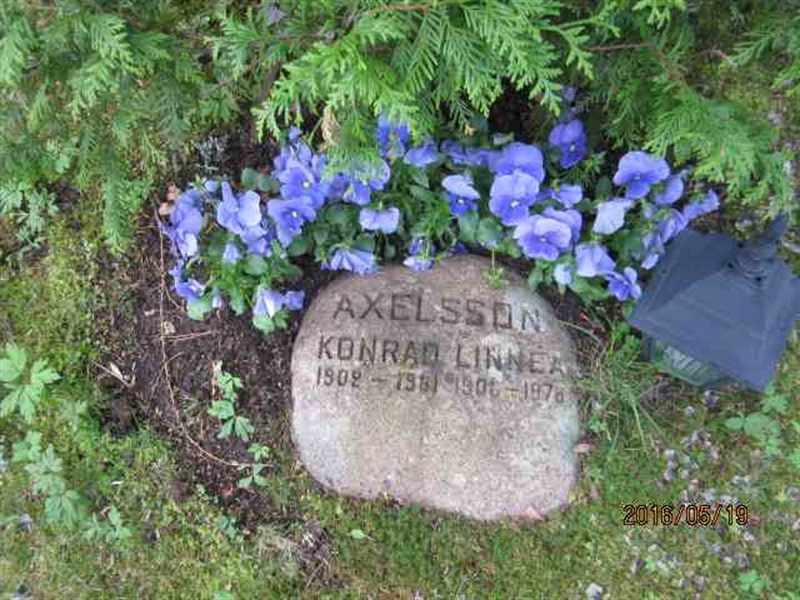 Grave number: 2 UL  1163