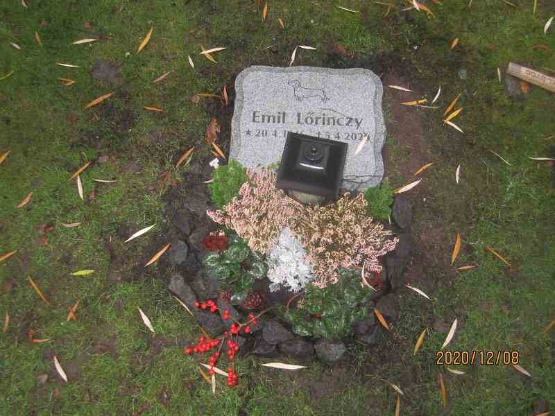 Grave number: 1 30    95