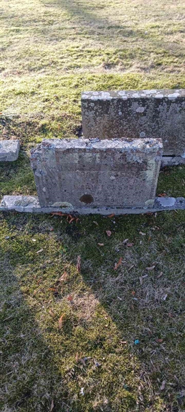 Hautatunnus: 3 Nya E   161