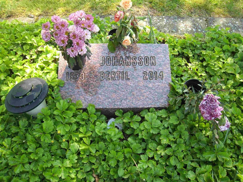 Grave number: NK II ASKL   232