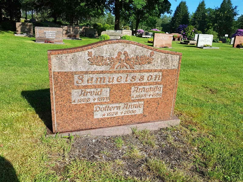 Grave number: 01  3663