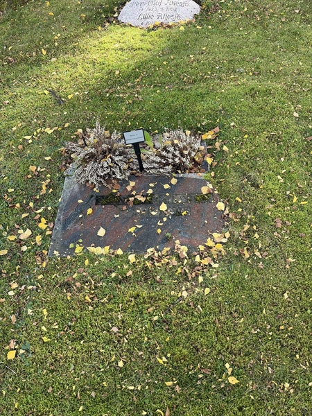 Grave number: 1 20    18
