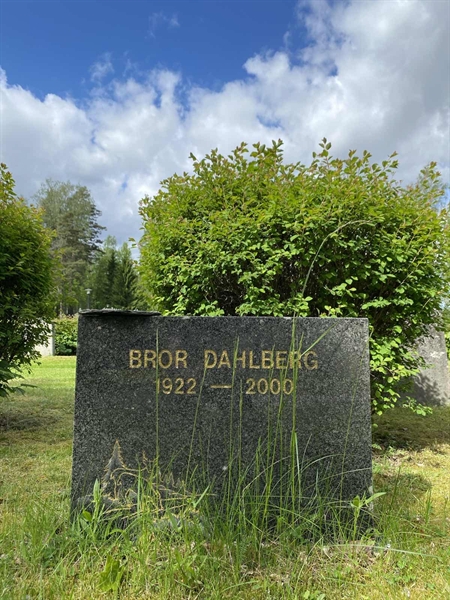 Gravnummer: 1 06 66