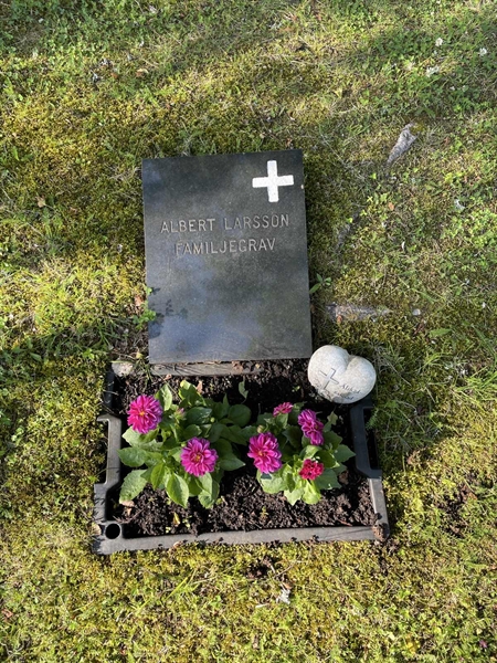 Grave number: R 5     1