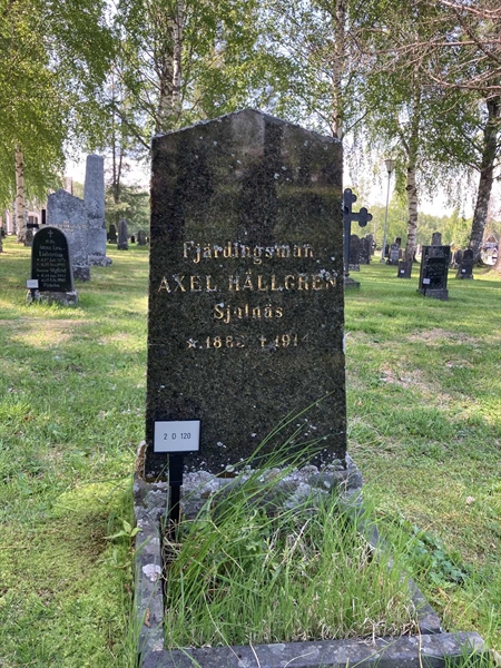 Grave number: 2 D   120