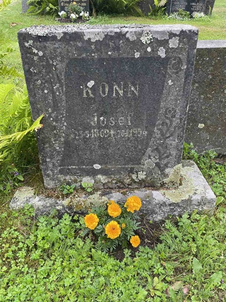 Grave number: N 4 4   619