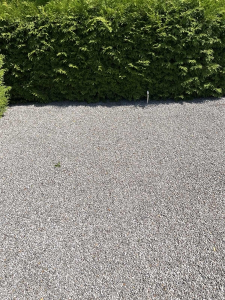 Grave number: NK VII    58