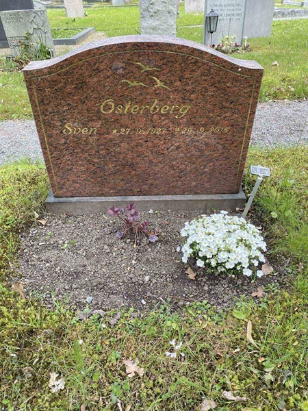 Hautatunnus: 1 C    27