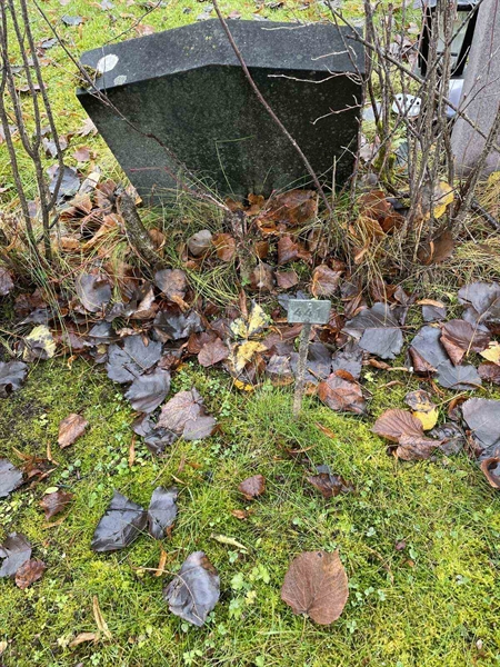 Gravnummer: GK A 3   441