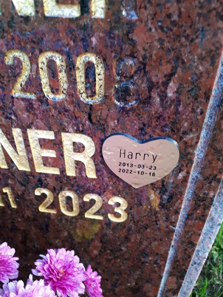 Hautatunnus: NK F D   475