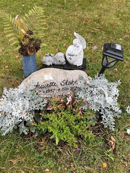 Grave number: 6 6    17